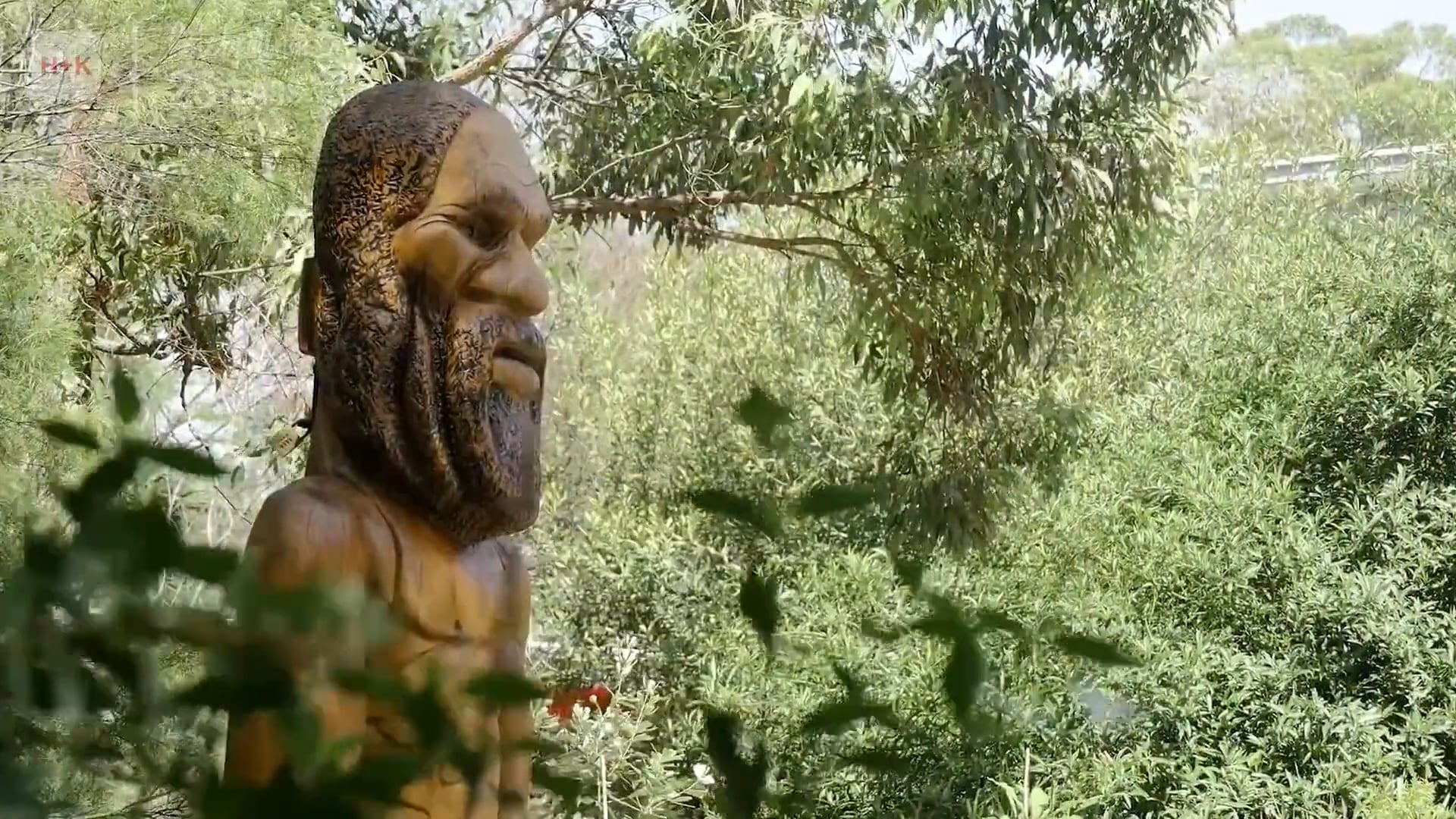 Where Knowledge Has Always Lived