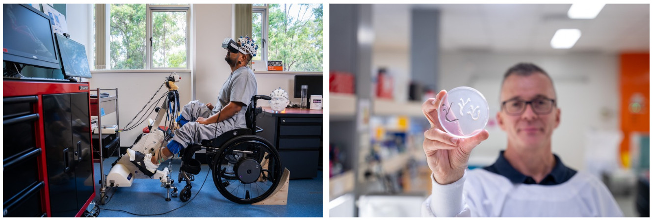 Dr Dinesh Palipana OAM using robotic cycling and brain-computer interface technology during a BioSpine neurorehabilitation session, alongside Professor James St John holding a laboratory culture dish used in spinal cord injury nerve bridge research at Griffith University.