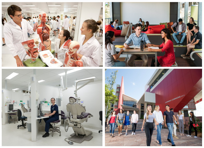 Collage showcasing Griffith University's Gold Coast campus infrastructure, including modern teaching laboratories, collaborative learning spaces, clinical training facilities and the Learning Commons, supporting health education and research.