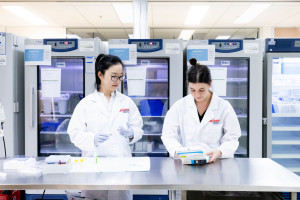 Researchers collaborating in the Griffith Clinical Trial Unit.